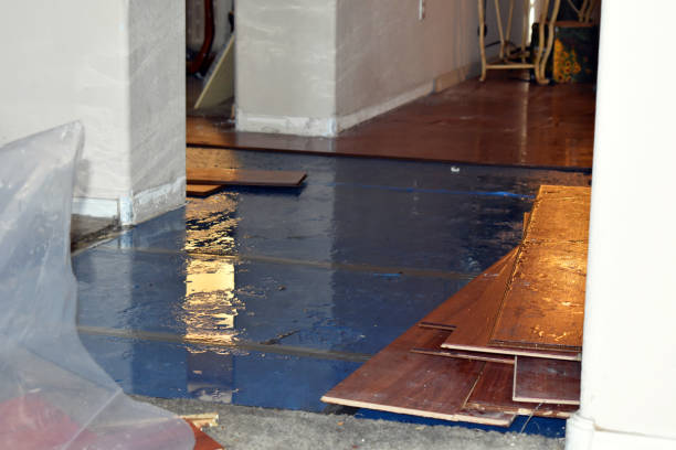 Professional Water Damage technician working in Abbott, TX